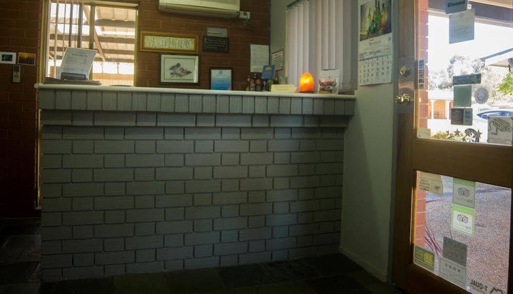 וואגה וואגה Junction Motel Wagga מראה חיצוני תמונה